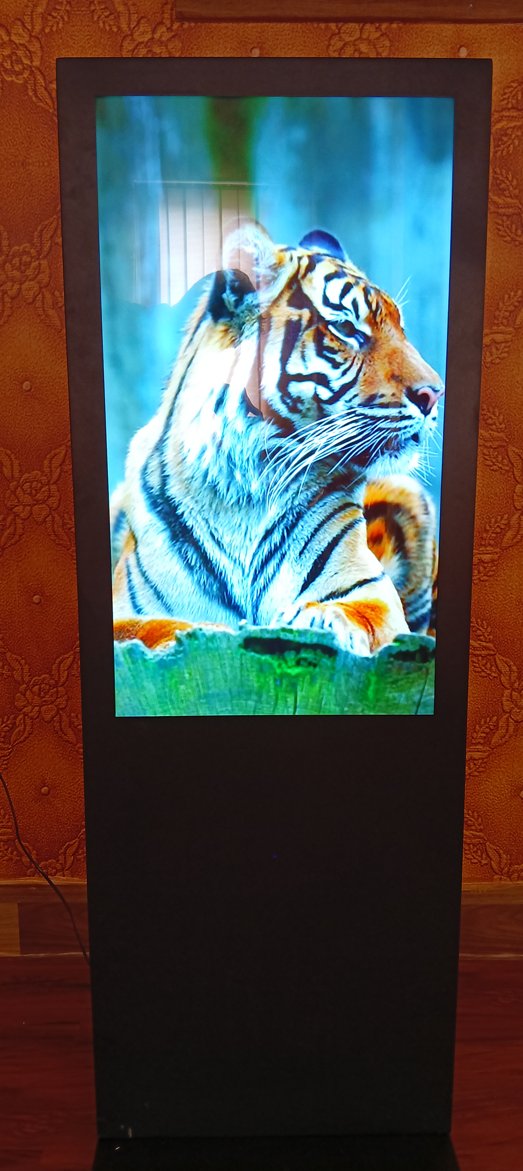 Digital Display Solutions
